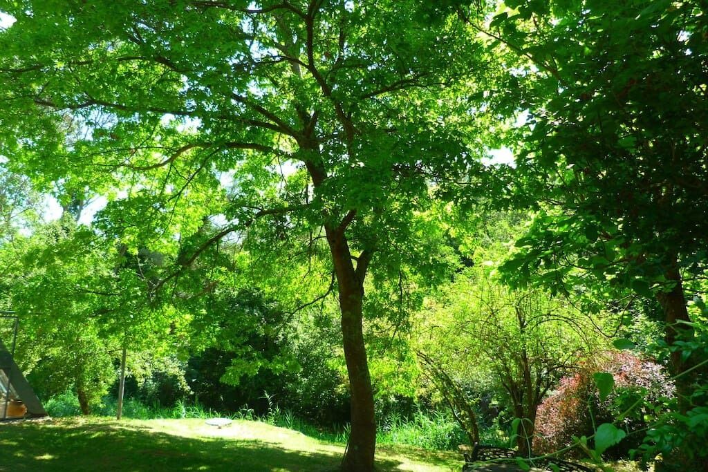 Photo of Outdoor in Riudaura