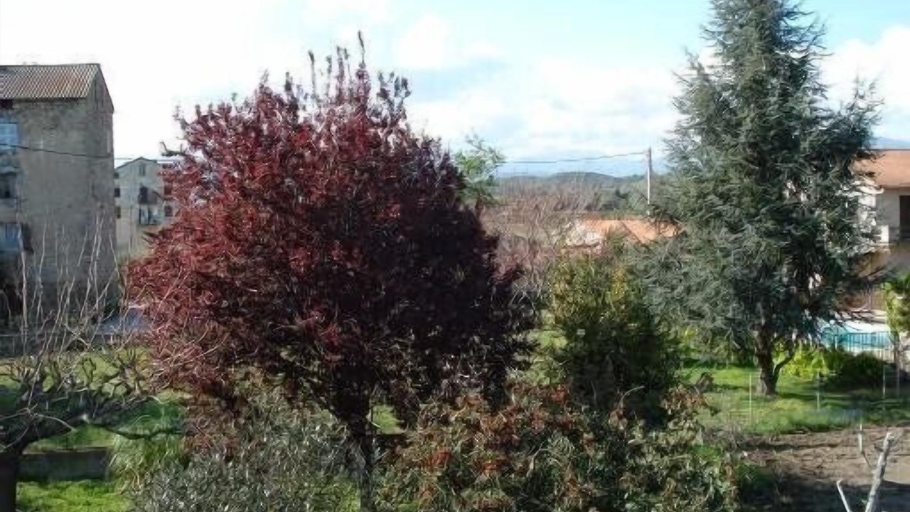 Photo of Outdoor in Aleria