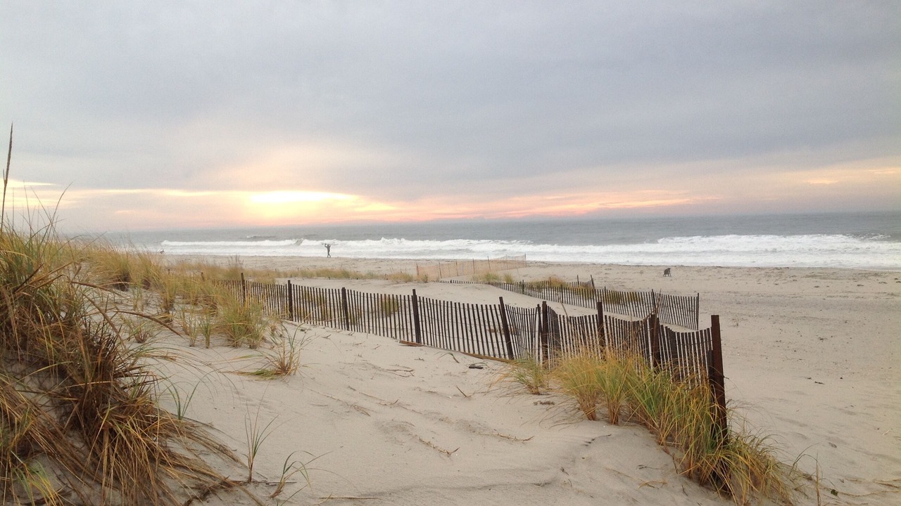 Photo of Others in Lido Beach
