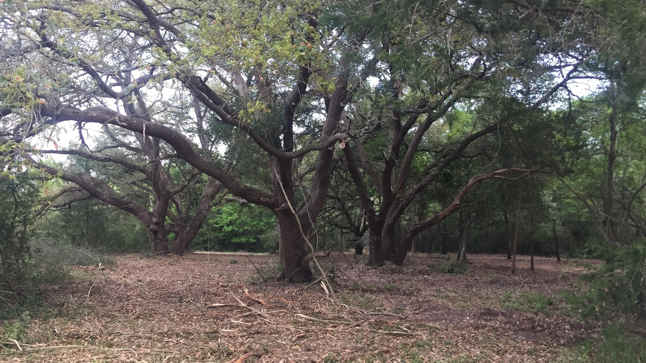 Photo of Others in Brenham