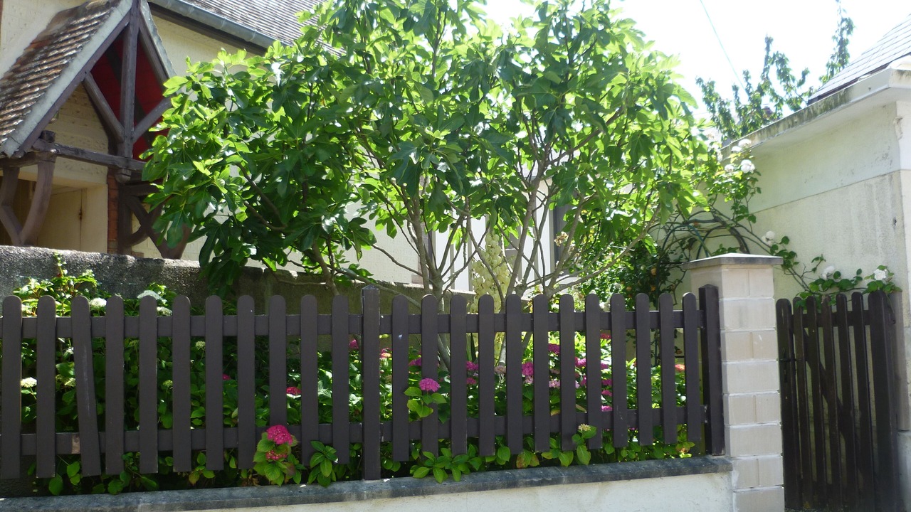 Photo of Outdoor in Cabourg