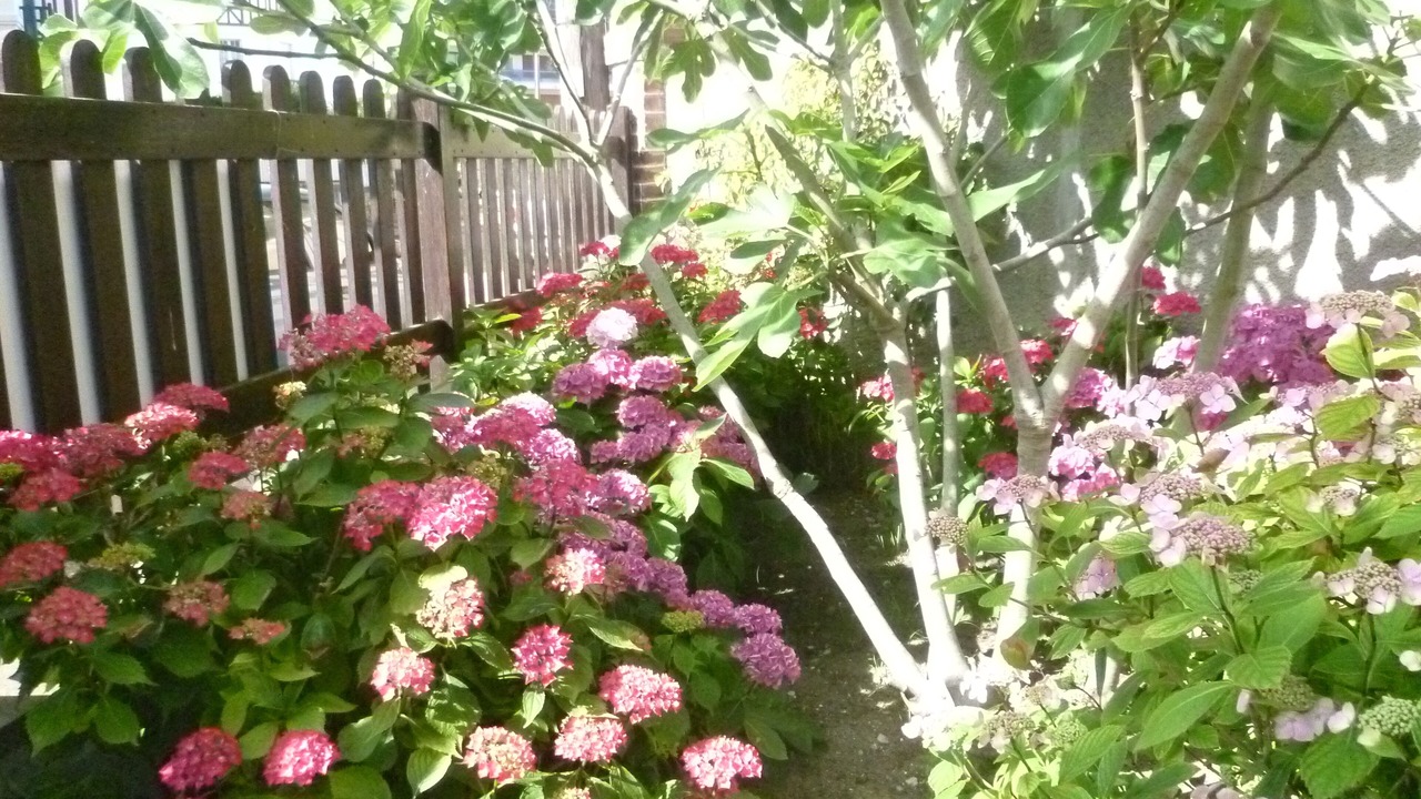 Photo of Outdoor in Cabourg