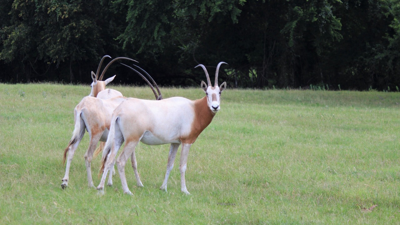Photo of Others in Brenham