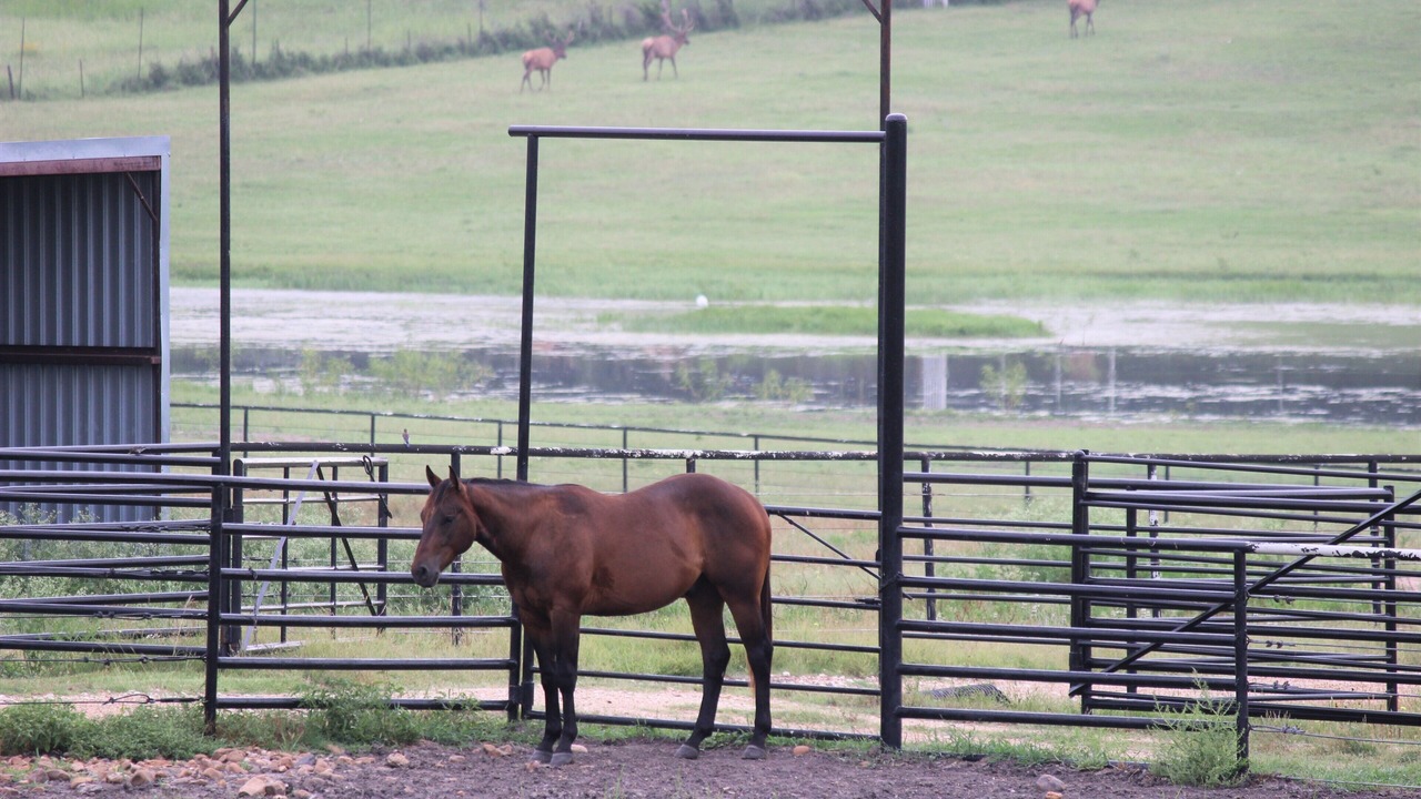 Photo of Others in Brenham