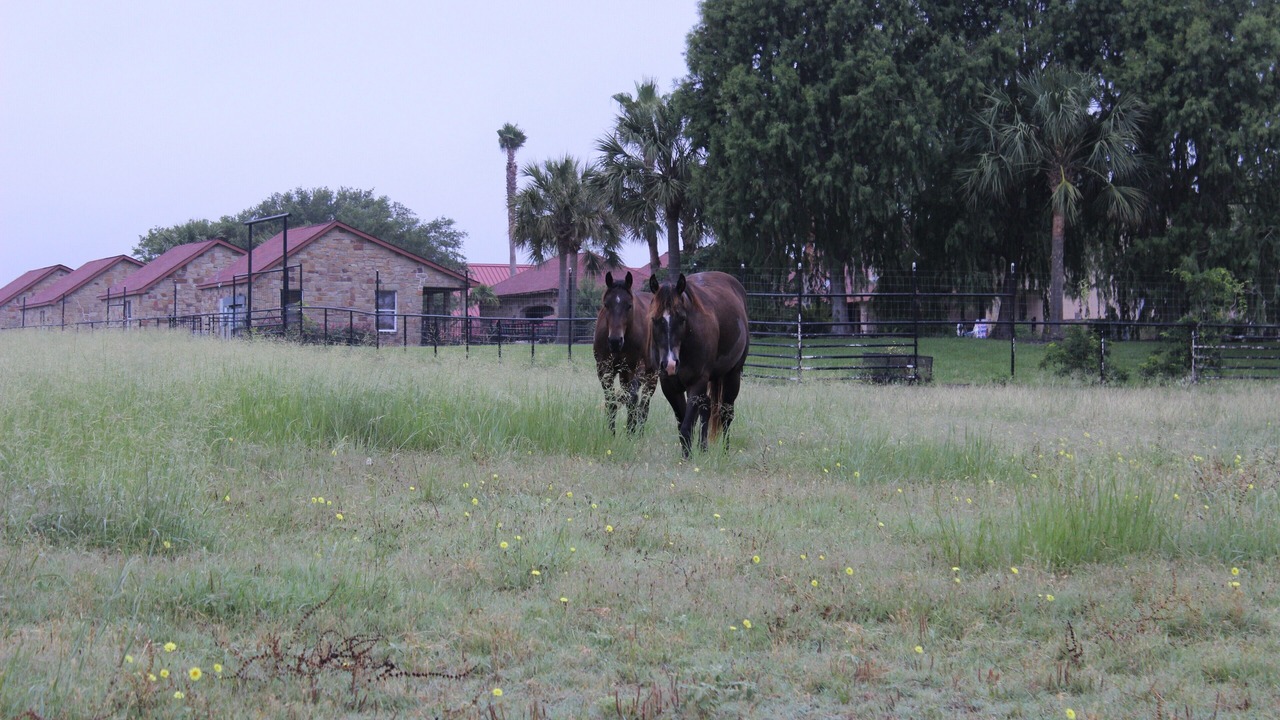 Photo of Others in Brenham