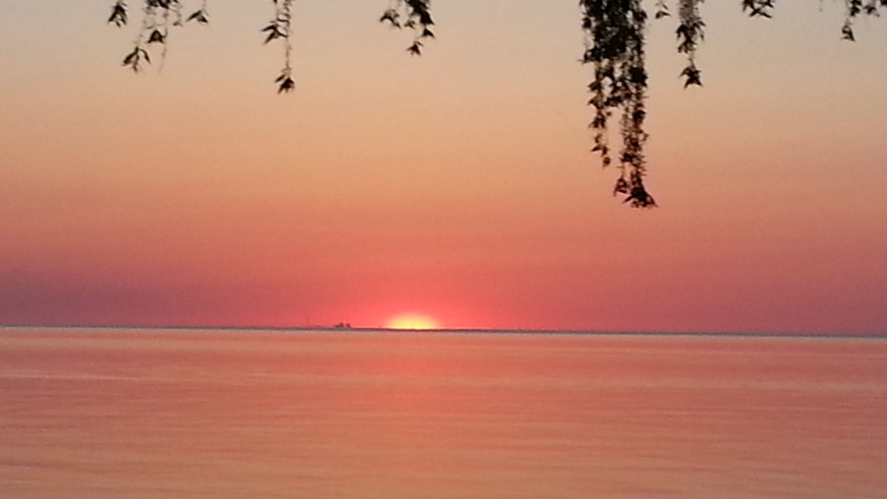 Photo of Others in Olcott