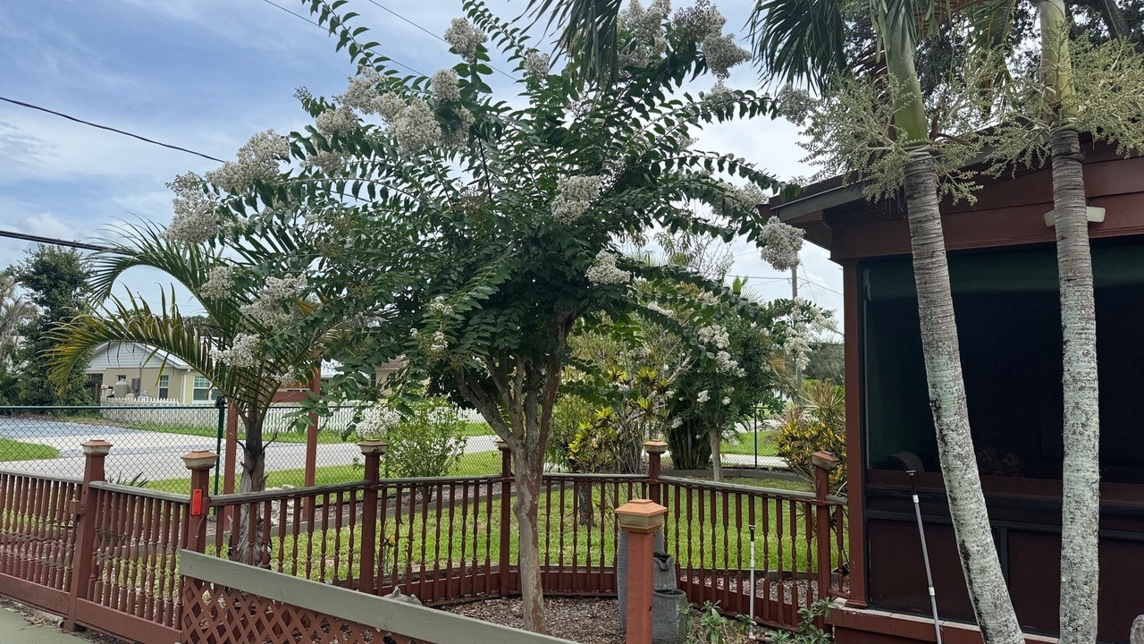 Photo of Outdoor in Fedhaven
