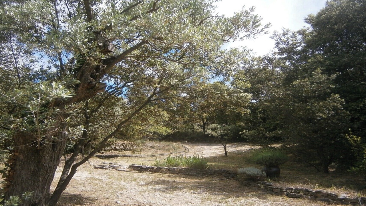 Photo of Outdoor in Crillon-le-Brave