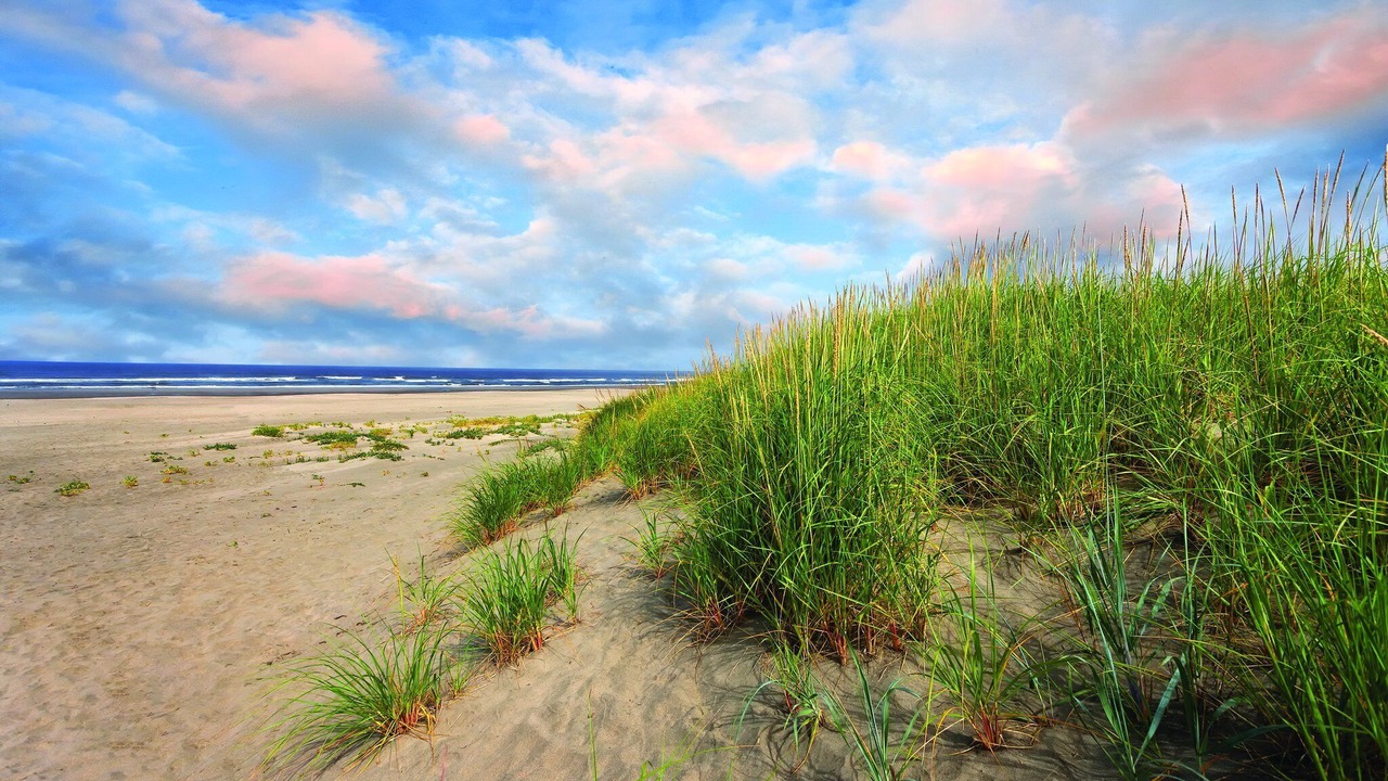 Photo of Others in Long Beach