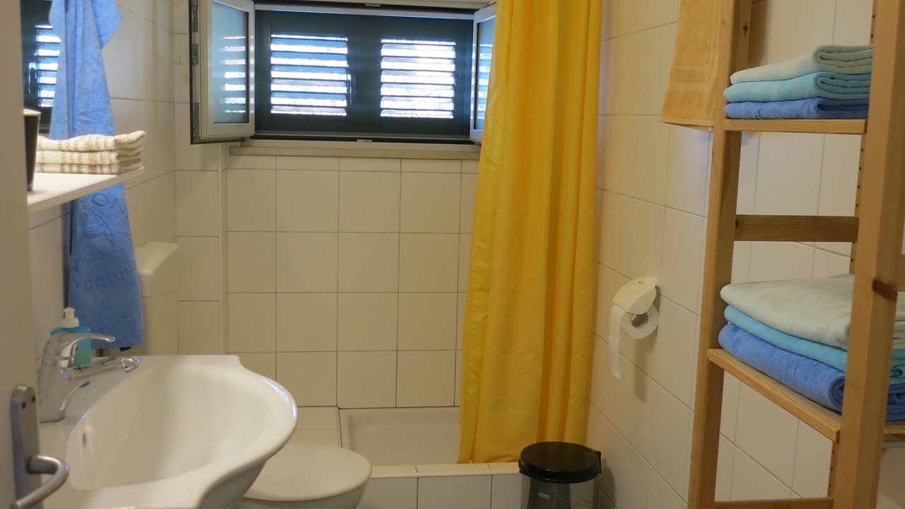 Photo of Bathroom in Blato