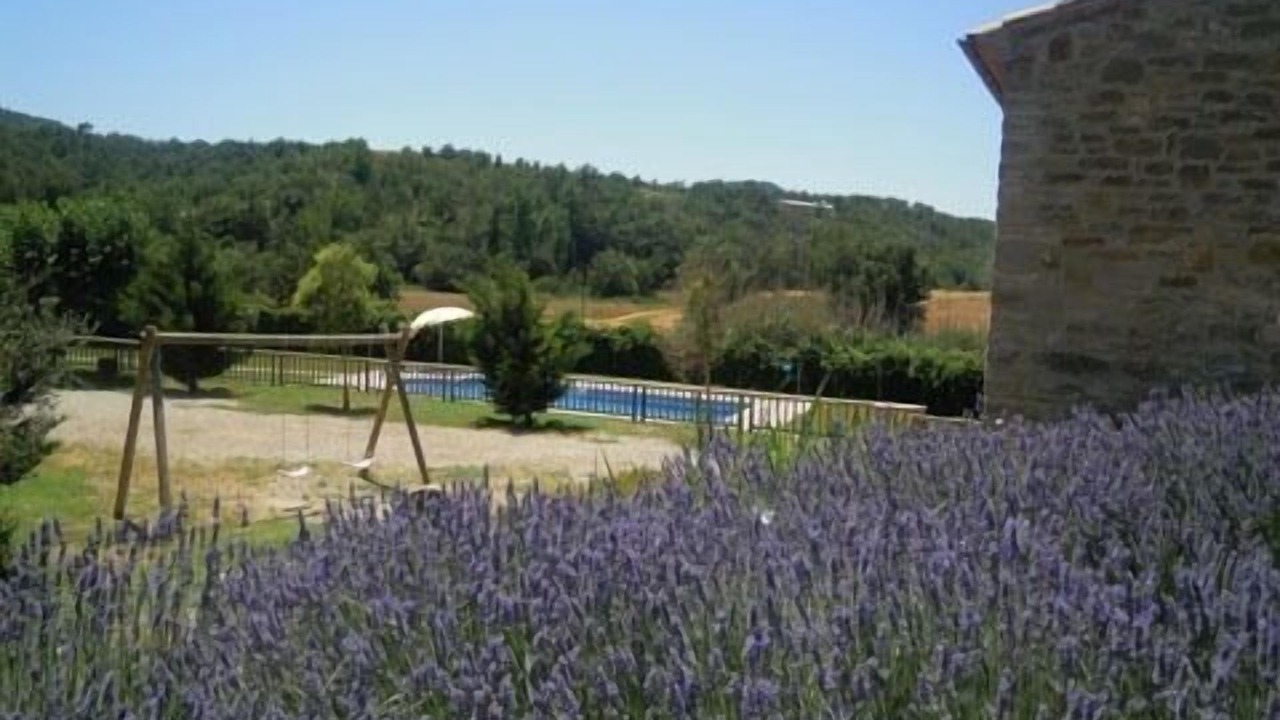 Photo of Outdoor in La Molsosa