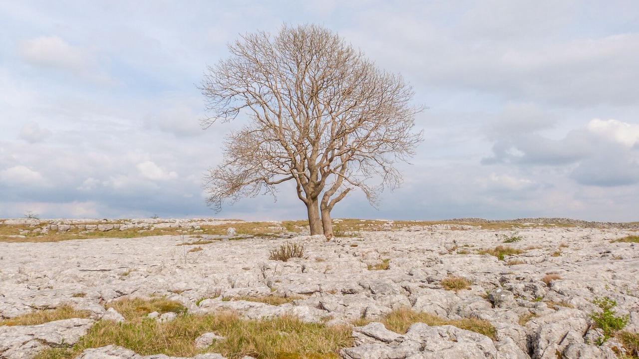 Photo of Others in Malham