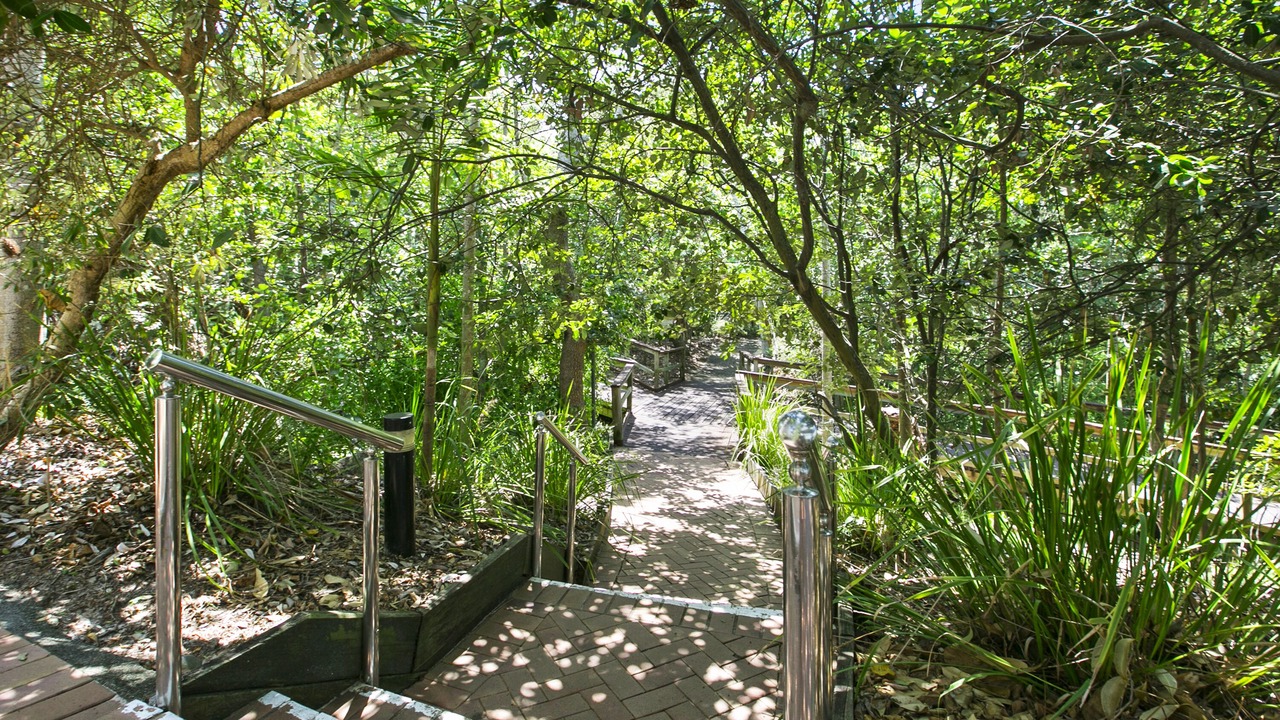 Photo of Others in Castaways Beach