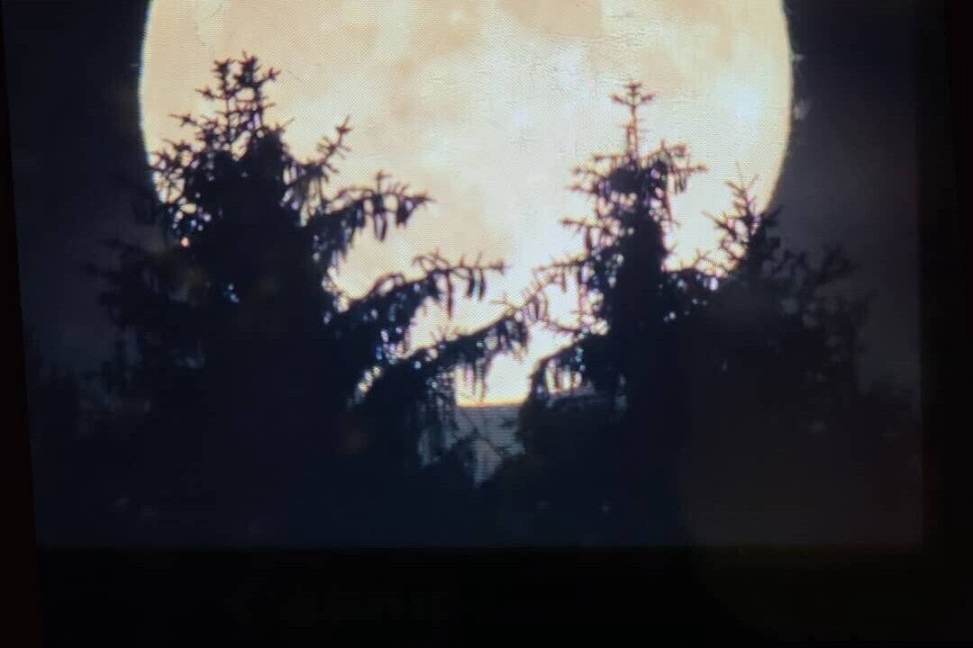 Photo of Others in Dryden