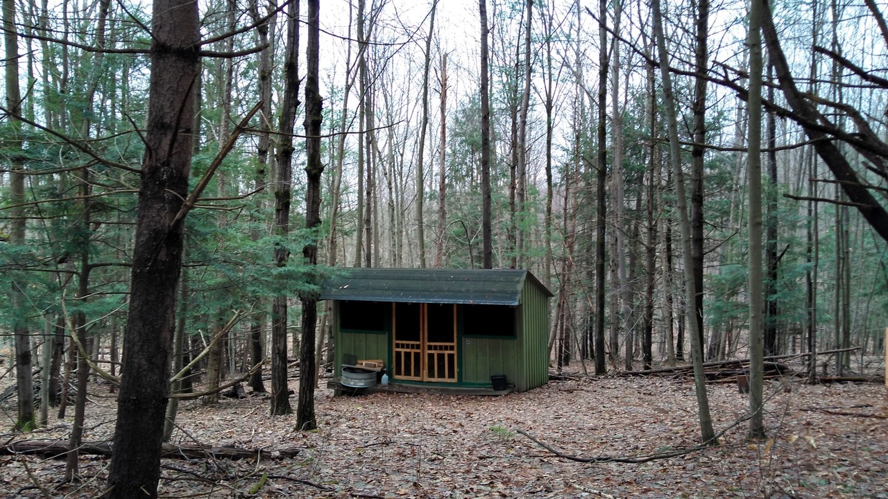 Photo of Others in Dryden