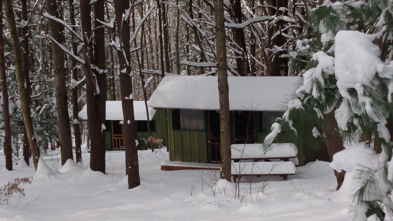 Photo of Others in Dryden