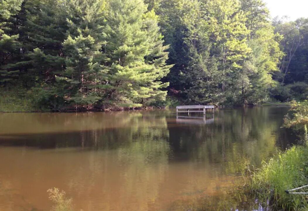 Photo of Others in Dryden