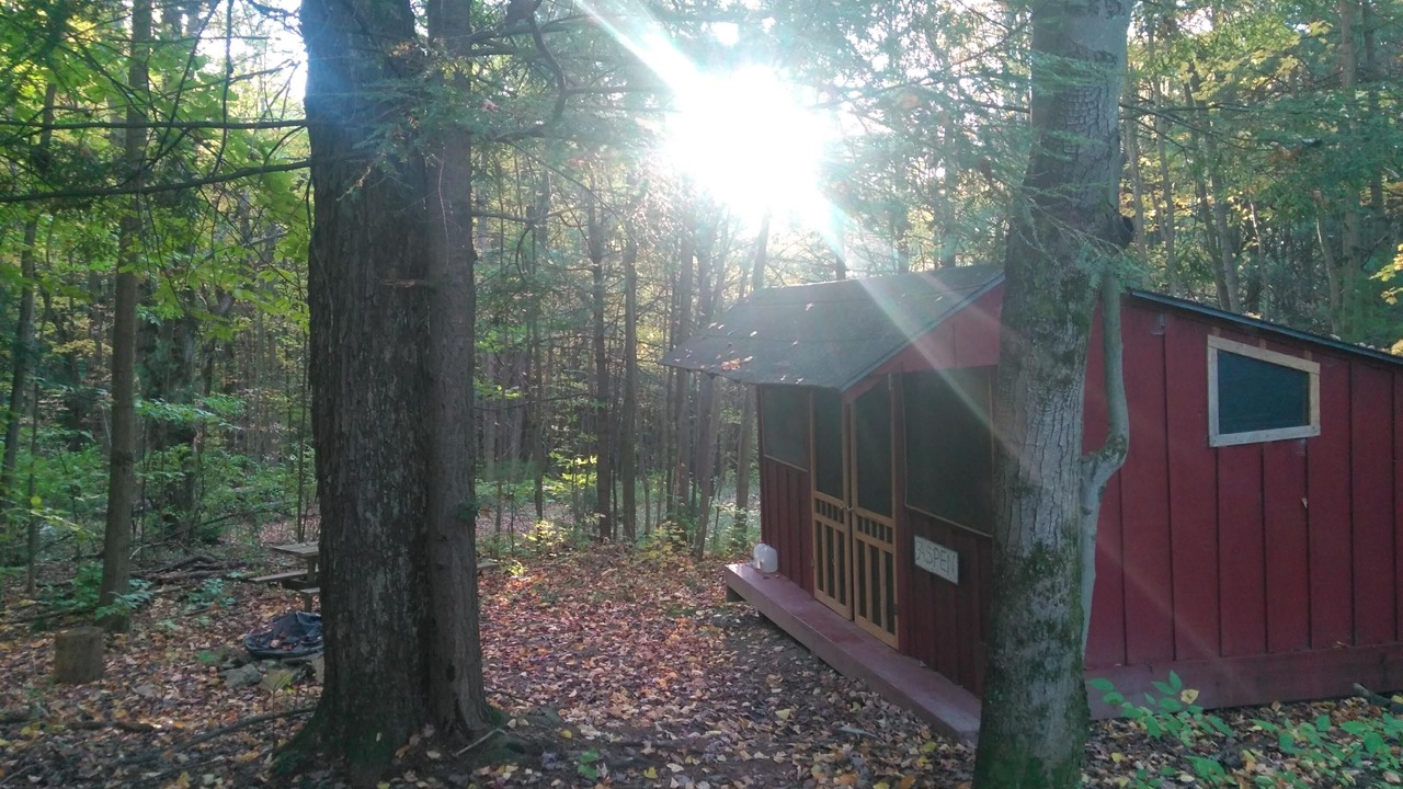 Photo of Others in Dryden