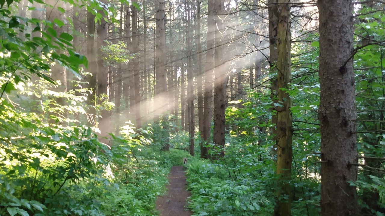 Photo of Others in Dryden