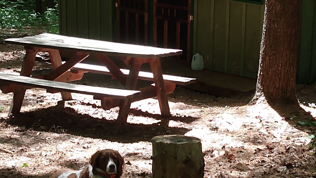 Photo of Others in Dryden