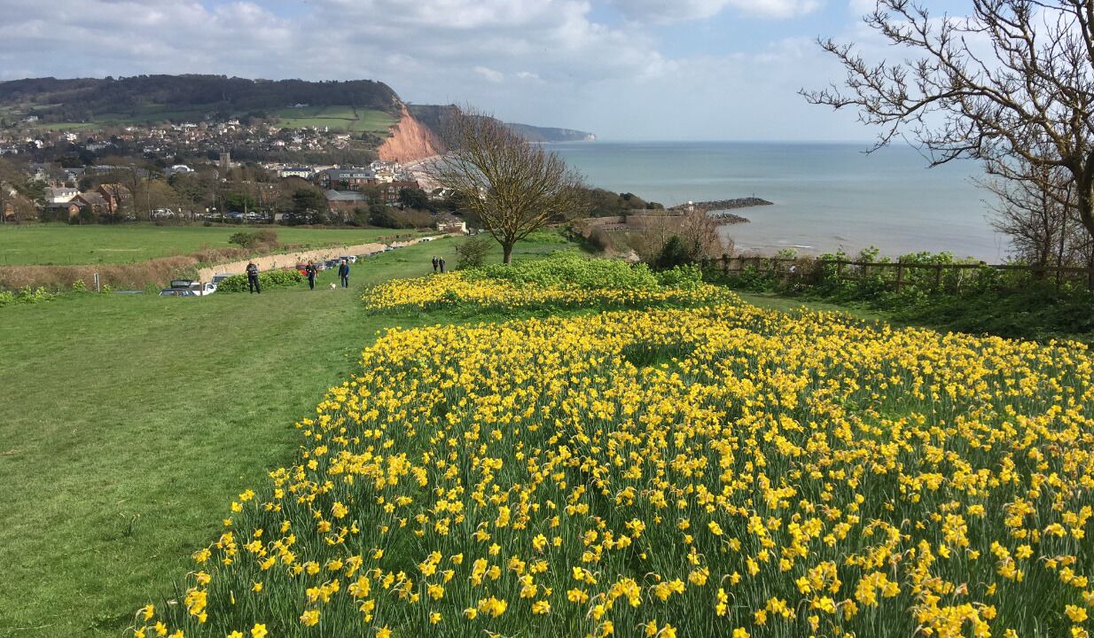 Photo of Others in Sidmouth