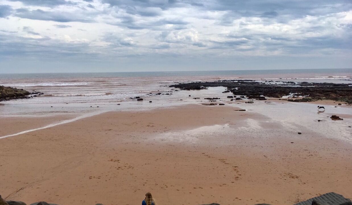 Photo of Others in Sidmouth