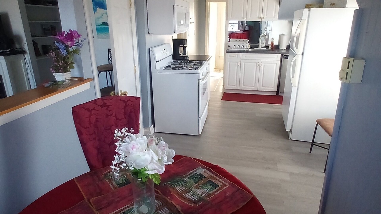 Photo of Kitchen in Hull