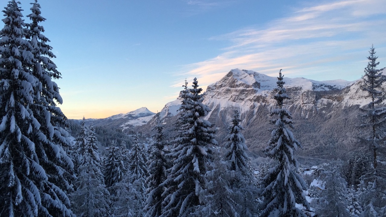 Photo of Others in Les Carroz-d'Araches