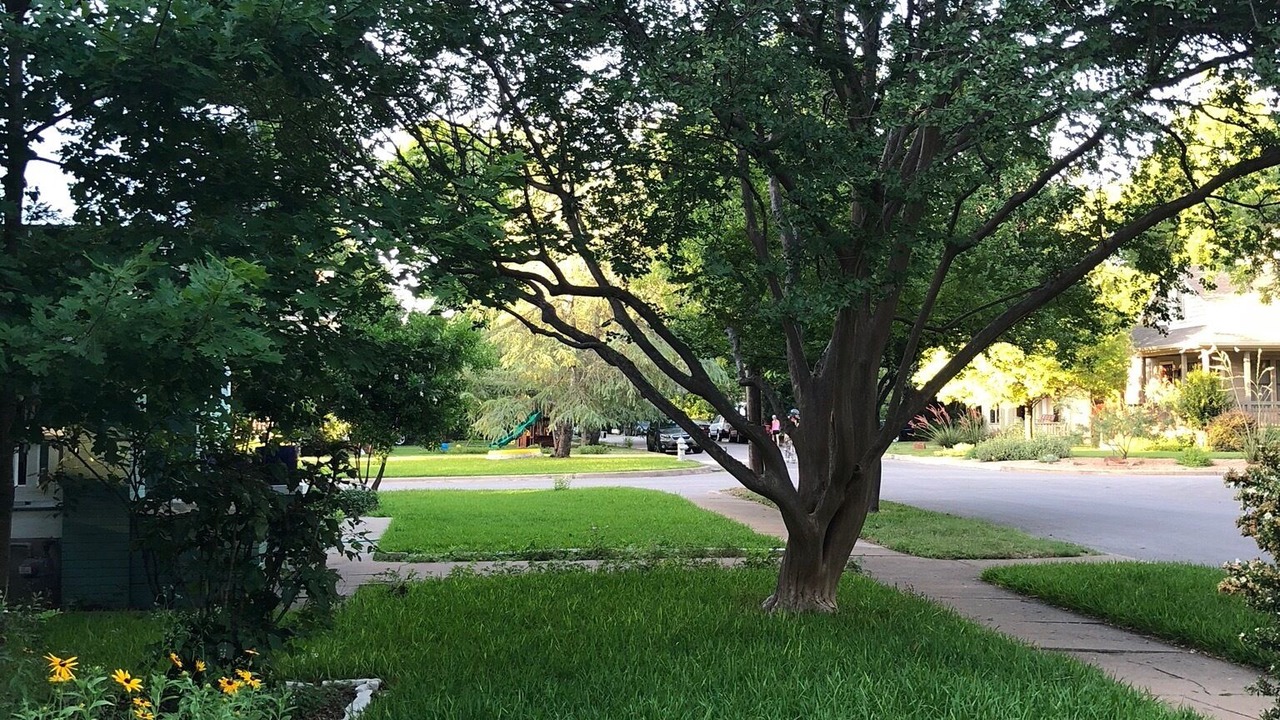 Photo of Outdoor in Hyde Park