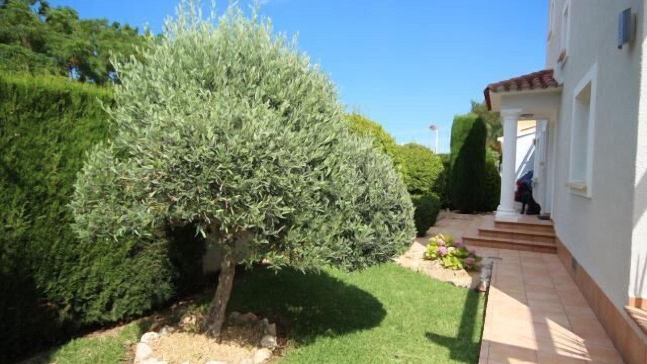 Photo of Outdoor in Els Poblets