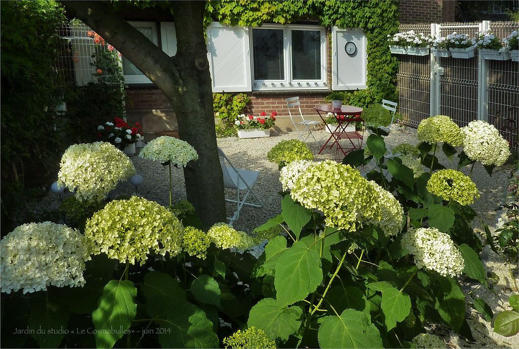 Photo of Outdoor in Marcq-en-Baroeul