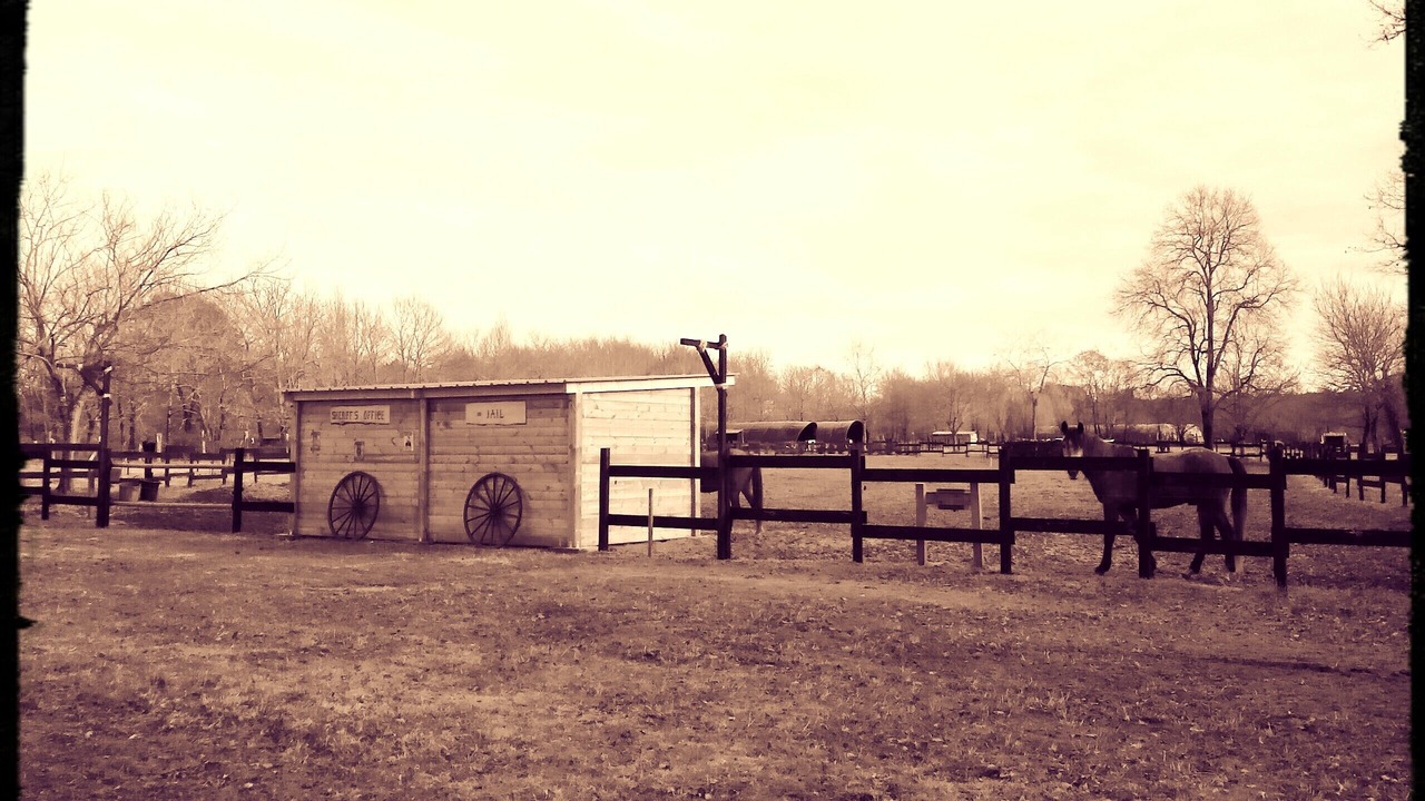 Photo of Outdoor in Saint-Paul-en-Born