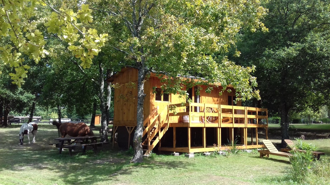 Photo of Outdoor in Saint-Paul-en-Born
