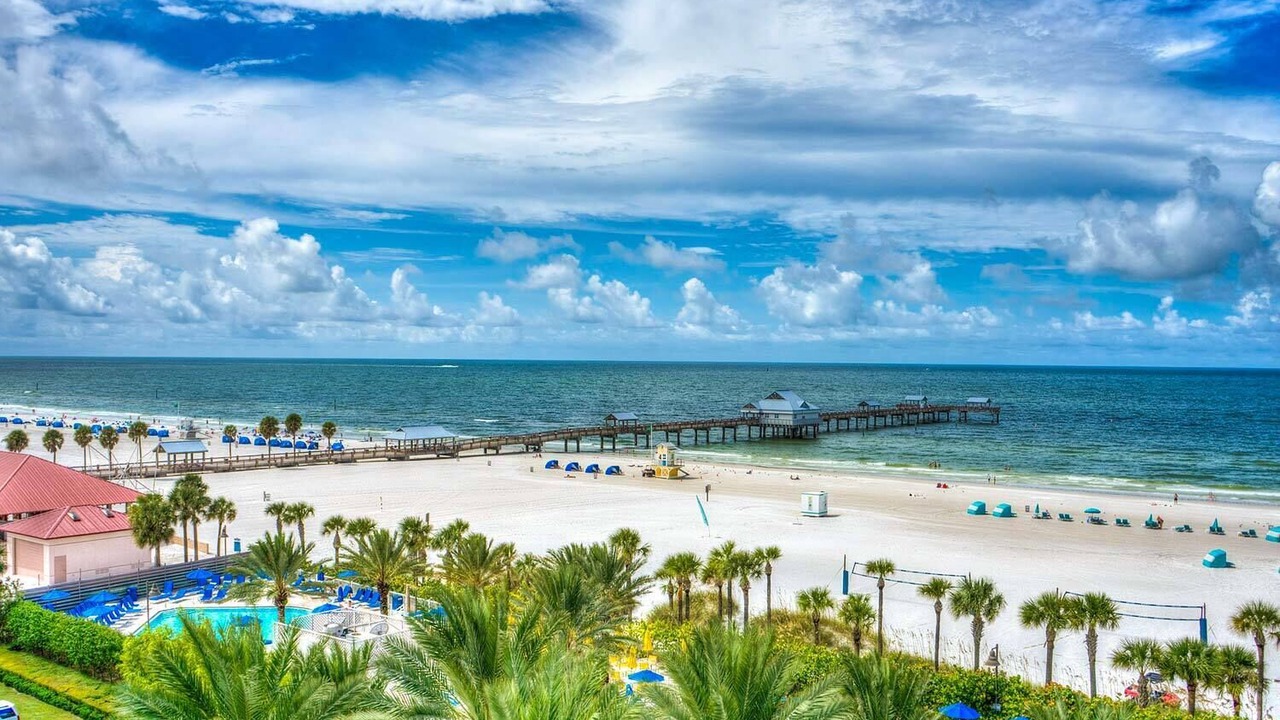 Photo of Others in Clearwater