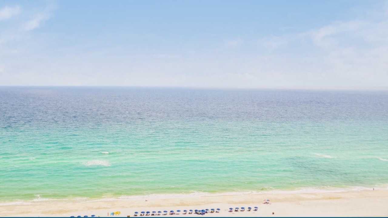 Photo of Others in Pensacola Beach