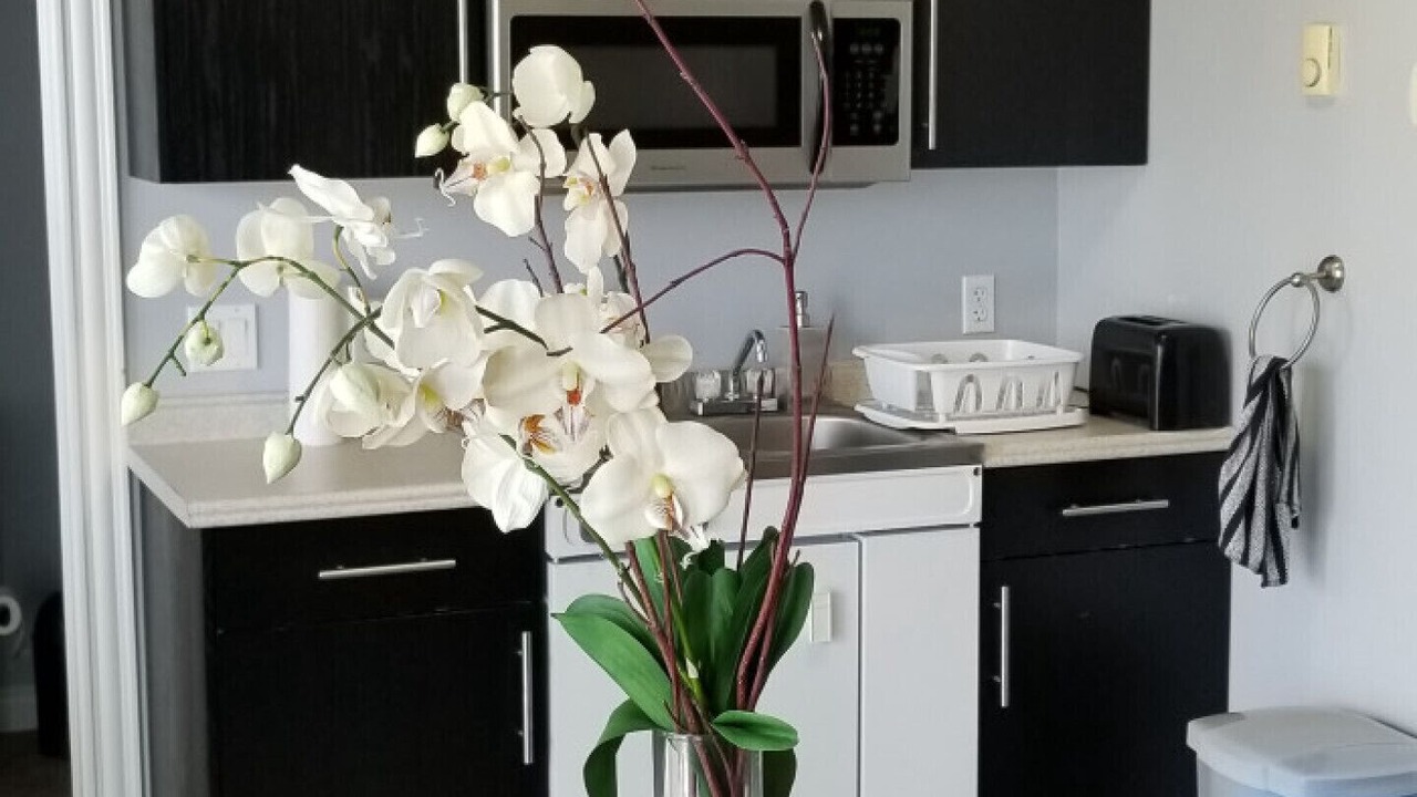 Photo of Others in Summerside