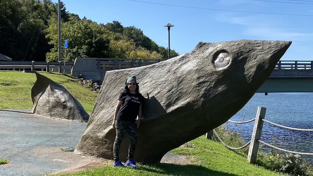 Photo of Others in Summerside