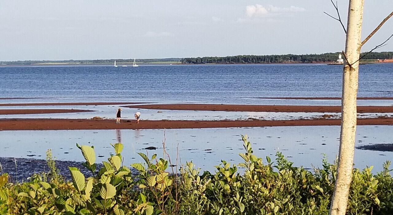 Photo of Others in Summerside