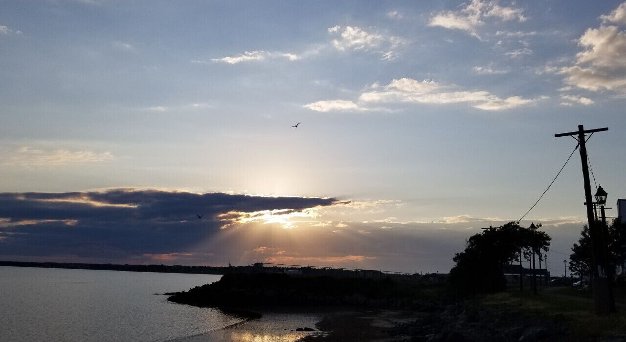 Photo of Others in Summerside