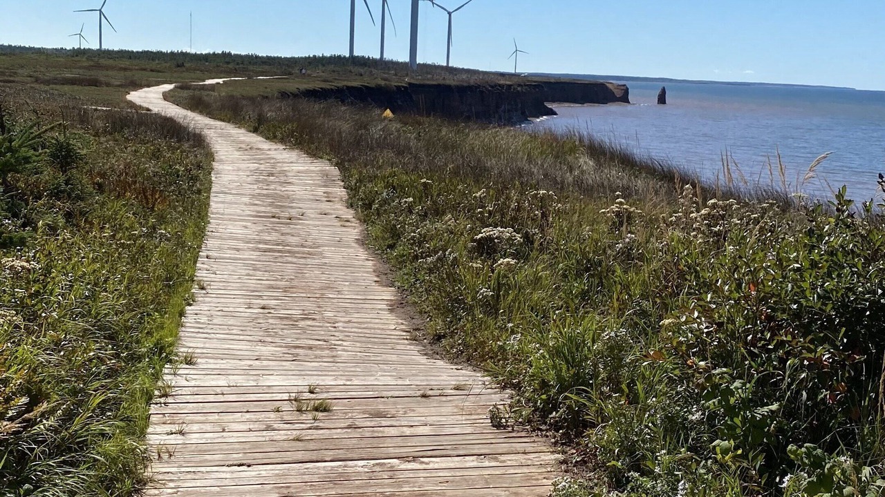 Photo of Others in Summerside