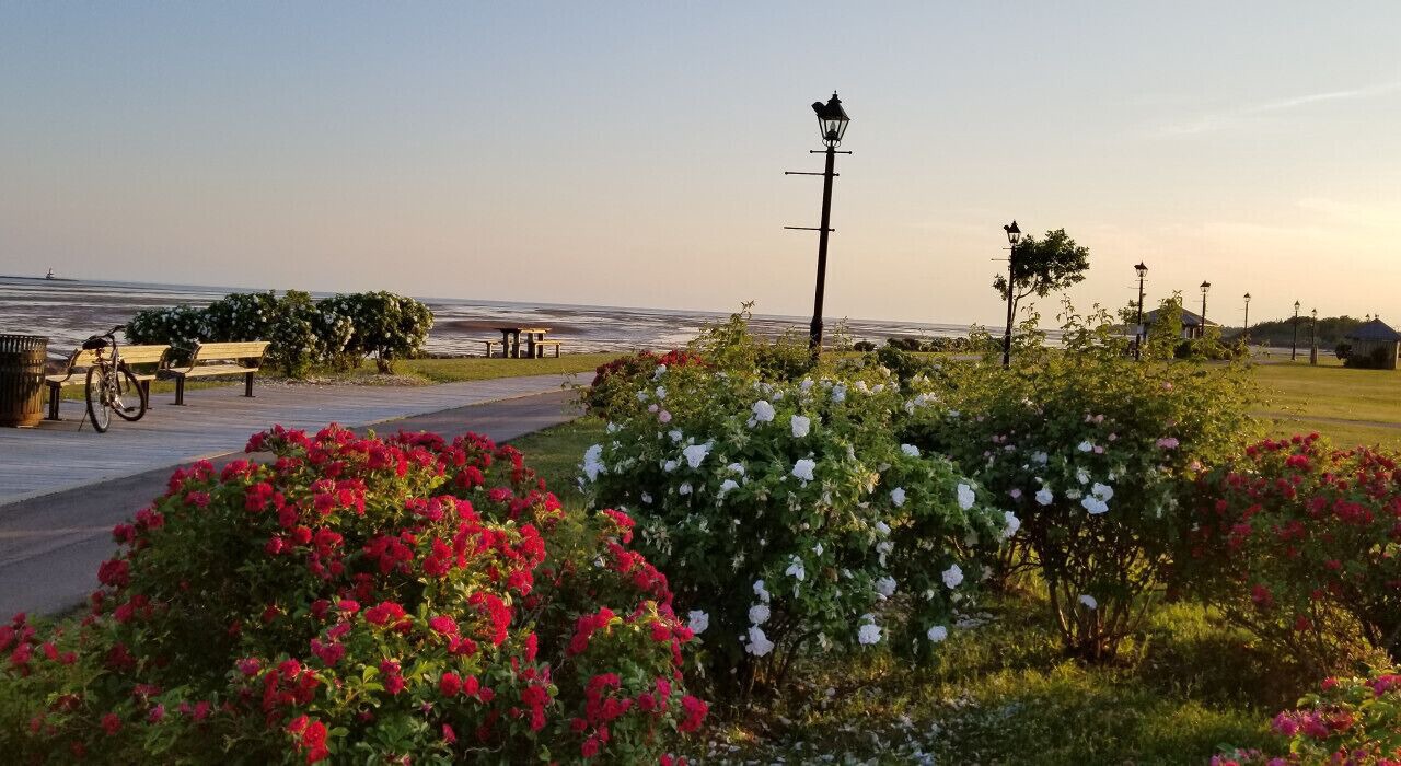 Photo of Others in Summerside