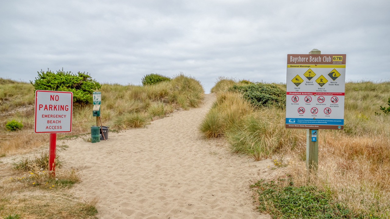 Photo of Others in Bayshore