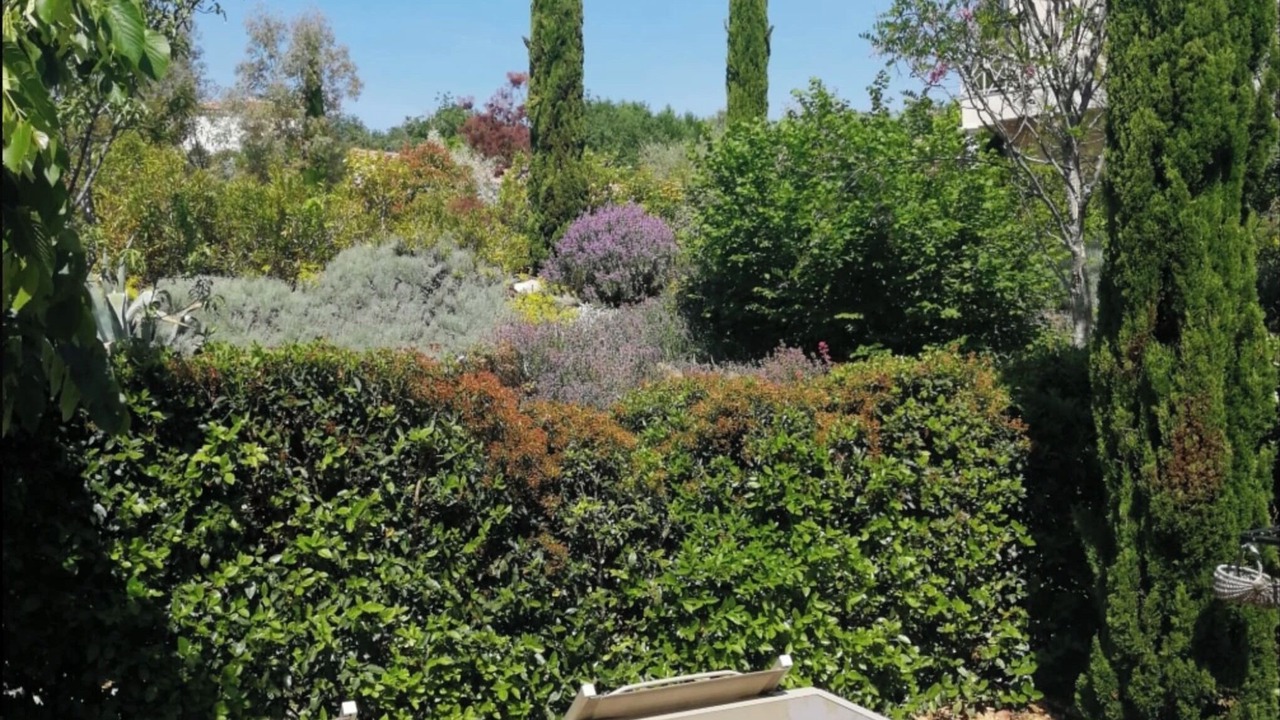 Photo of Outdoor in Vogue