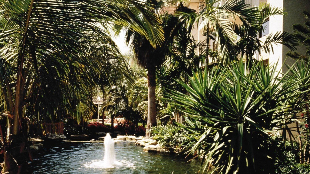 Photo of Outdoor in Pompano Beach