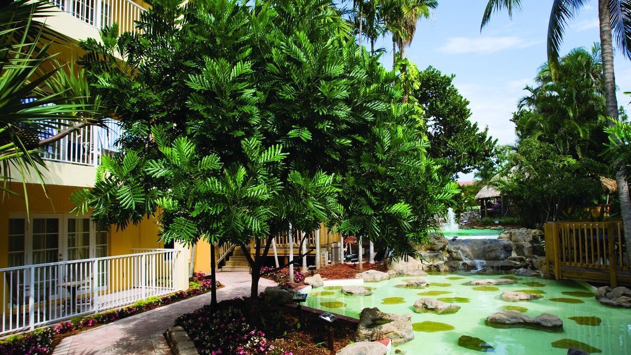 Photo of Outdoor in Pompano Beach