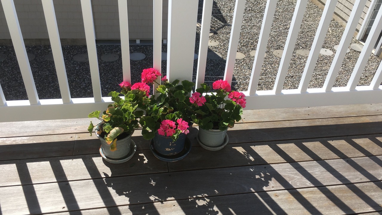 Photo of Outdoor in Stone Harbor