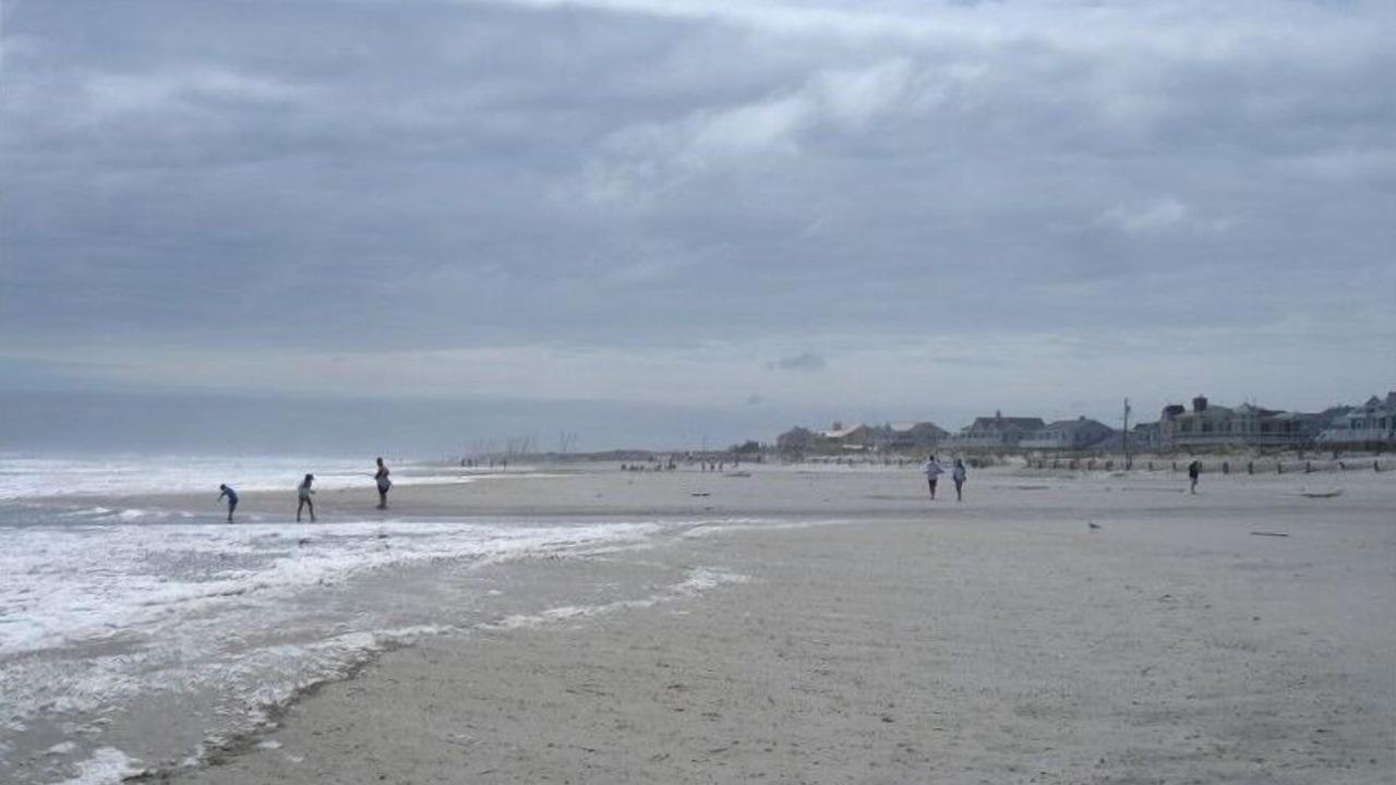 Photo of Others in Stone Harbor