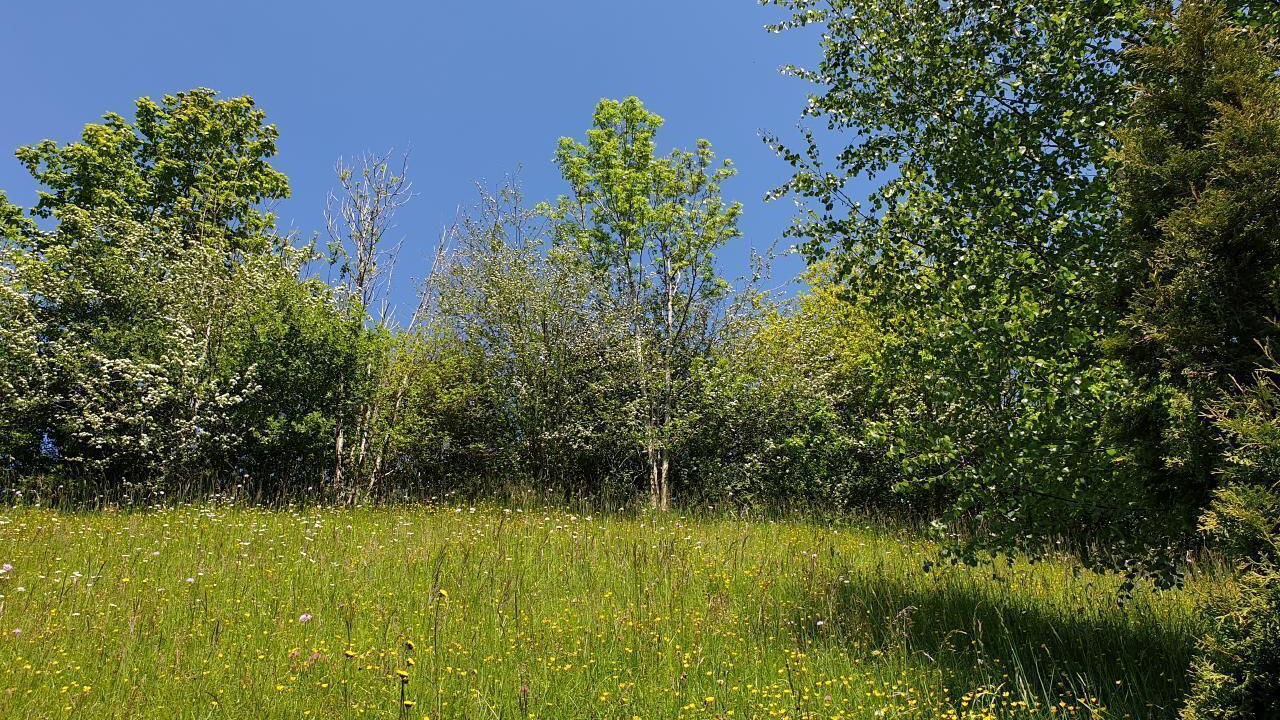 Photo of Others in Mogelsberg