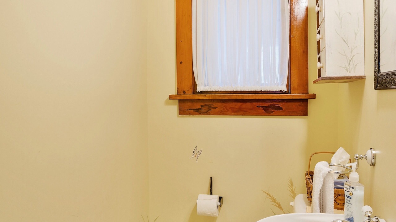 Photo of Bathroom in New Buffalo