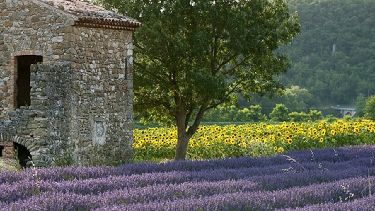 Photo of Others in Rousset-les-Vignes